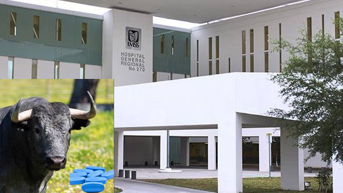 24 Morelos Toro Hospital