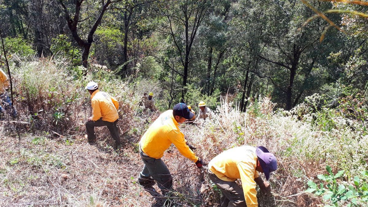 Registran más de 70 incendios en Morelos hasta esta semana