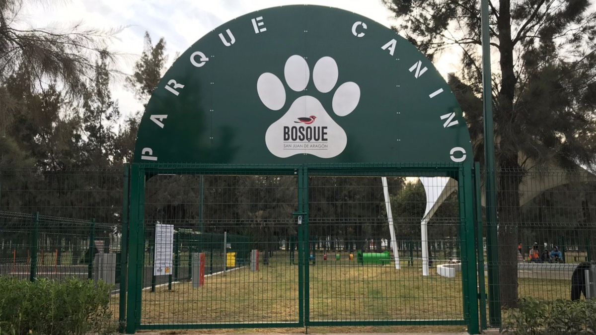 24 Morelos Parque Canino