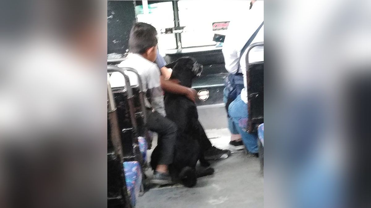 Sube chofer a niños con perrito a la ruta en Puebla