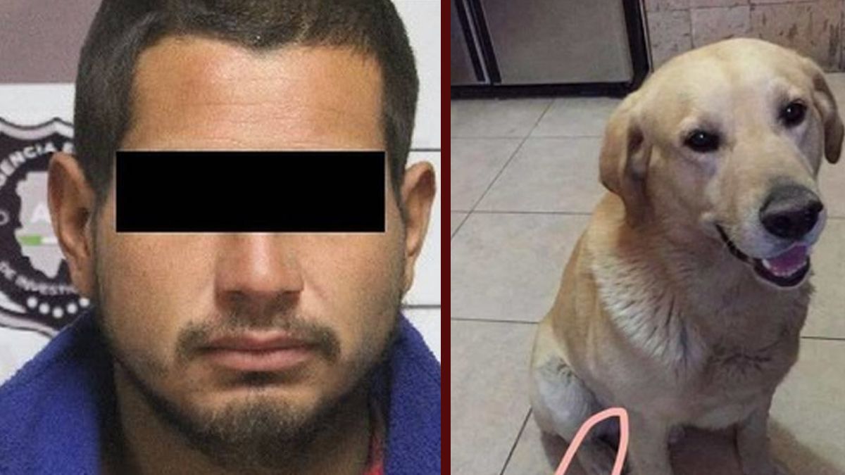 24 Morelos Perrito asesinado