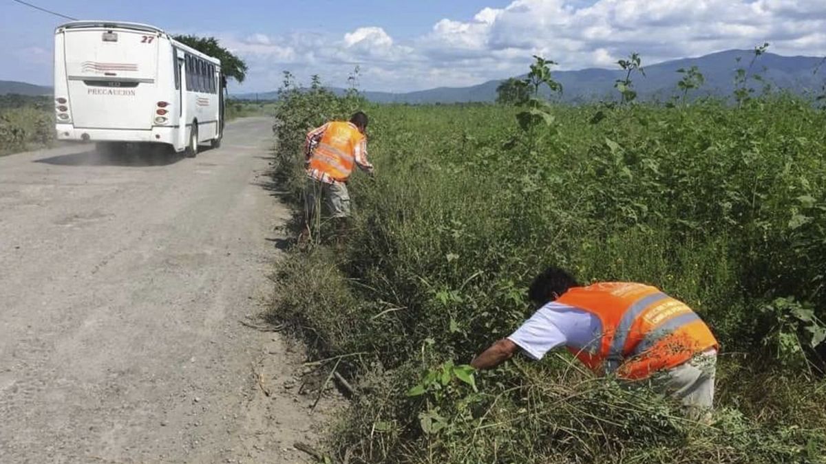 24 Morelos Tramo carretero Axochiapan