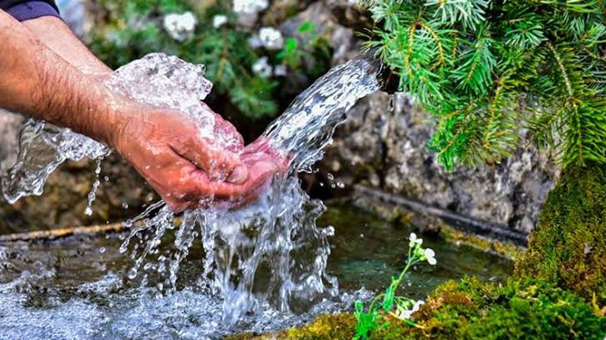 24 Morelos Manantial