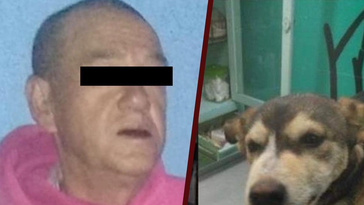 24 Morelos Sujeto viola a perrita