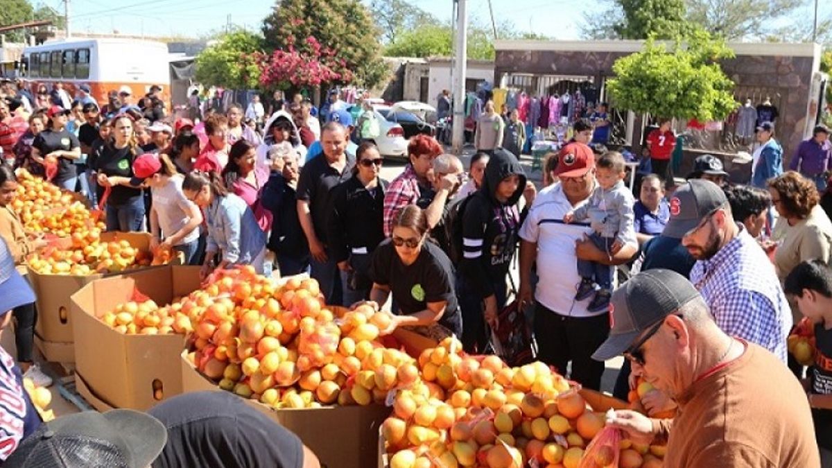 24 Morelos Cítricos