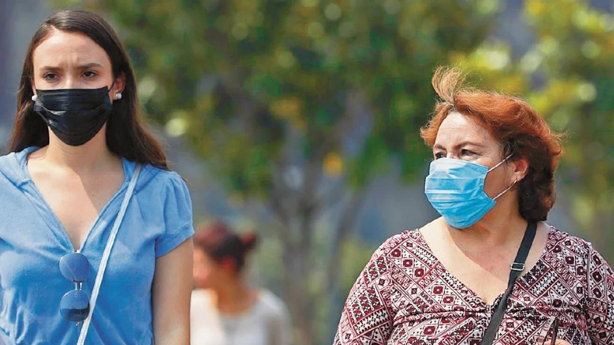 24 Morleos cubrebocas