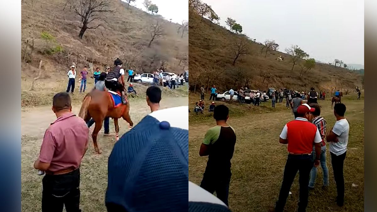 24 Morelos Carreras en contingencia