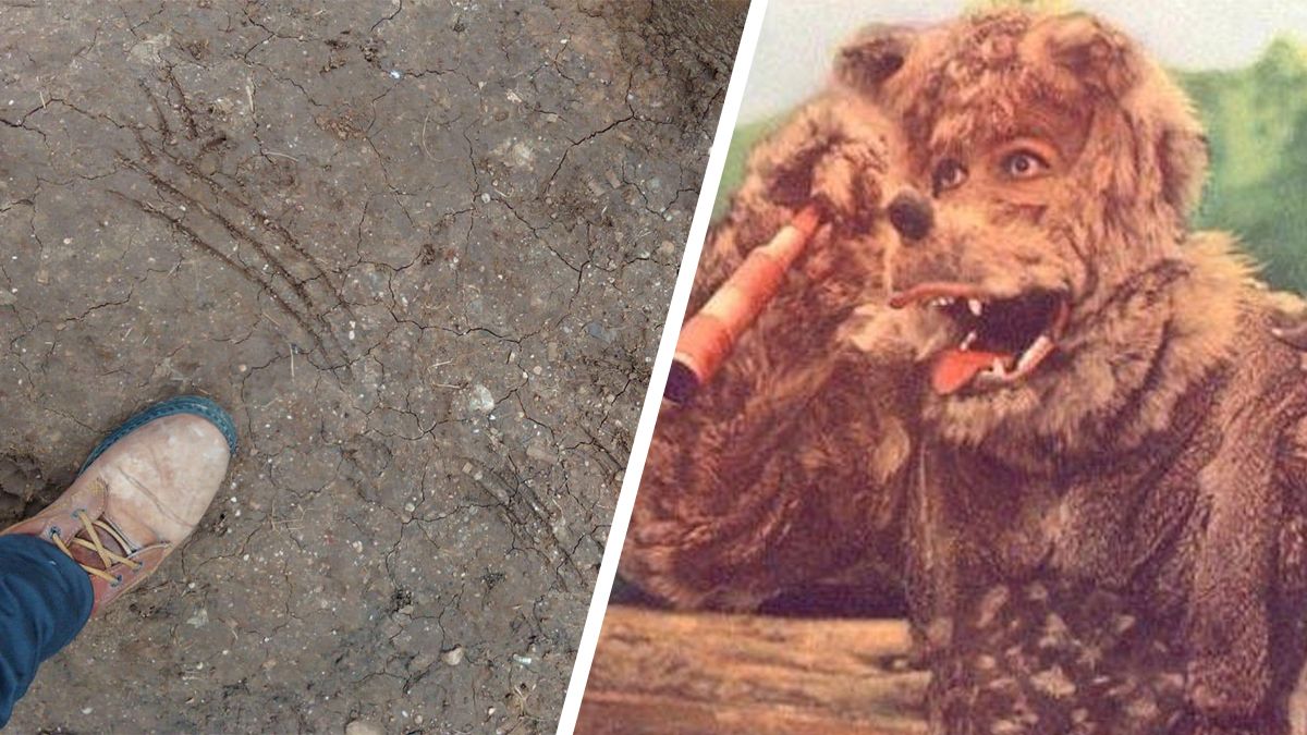 24 Morelos Hombre lobo