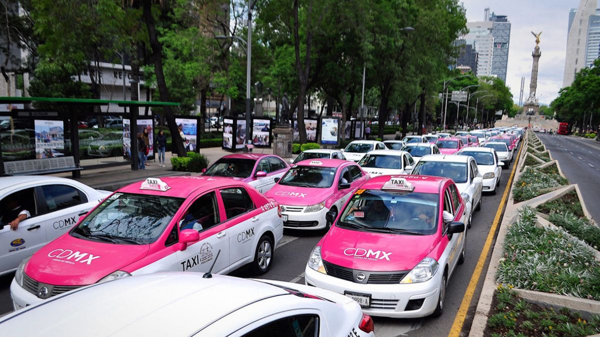 24 Morelos Taxis