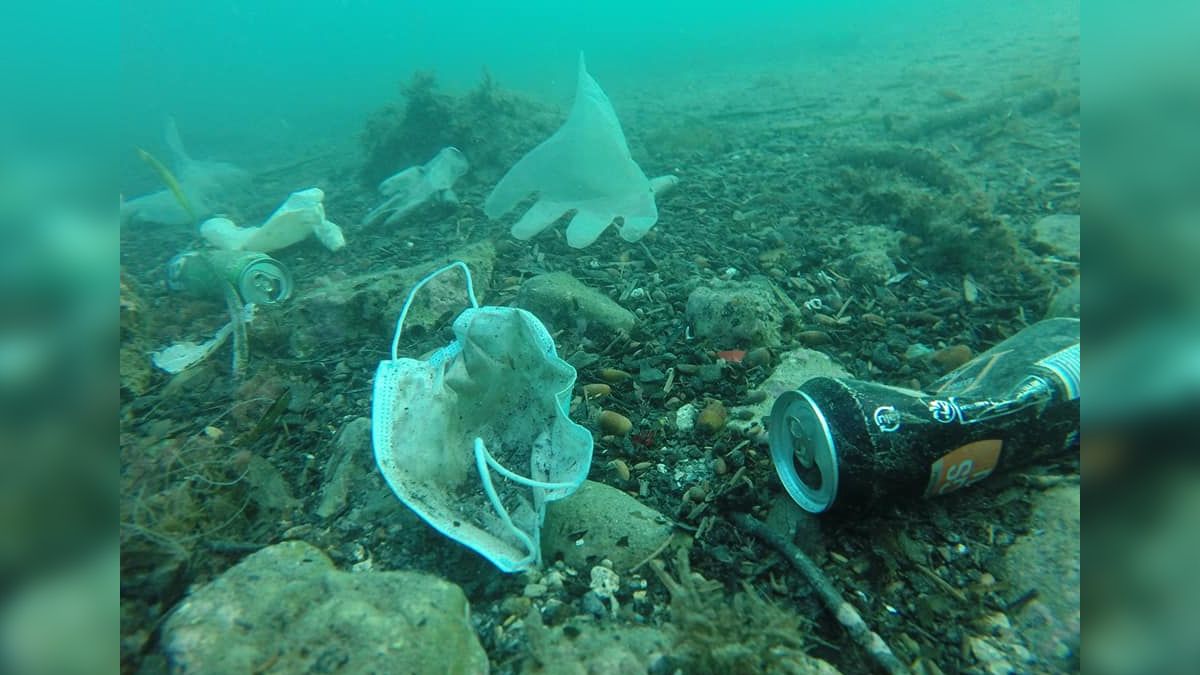 24 Morelos cubrebocas