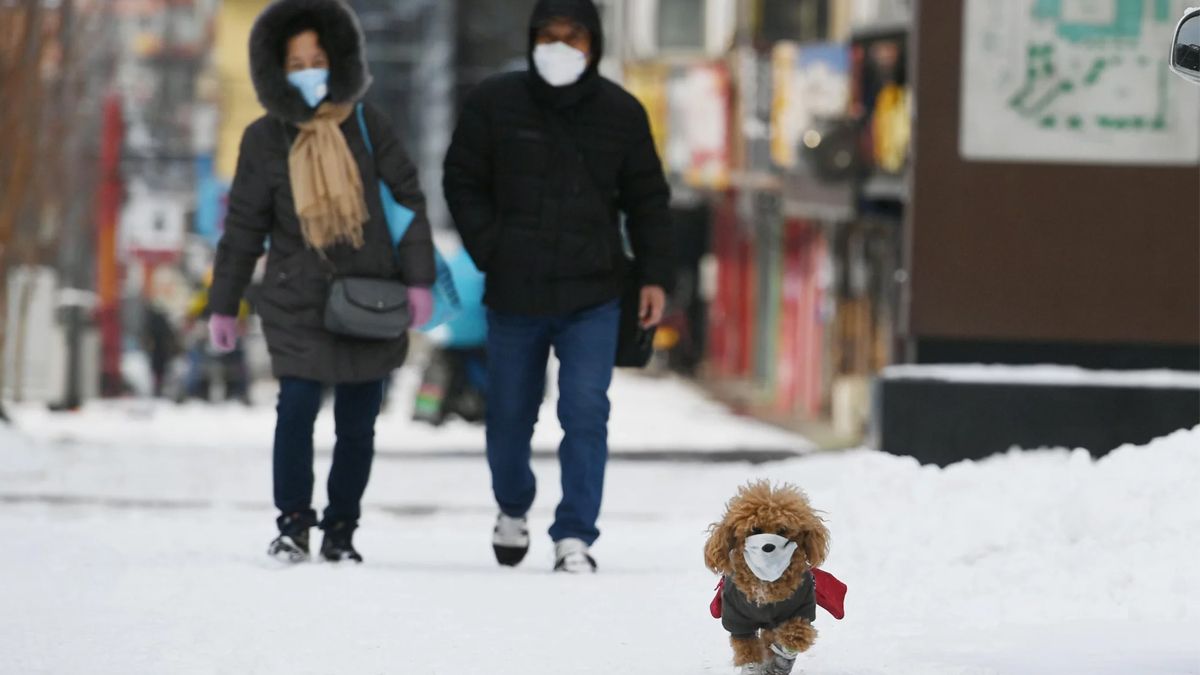 China vuelve a cerrar una ciudad por Covid-19