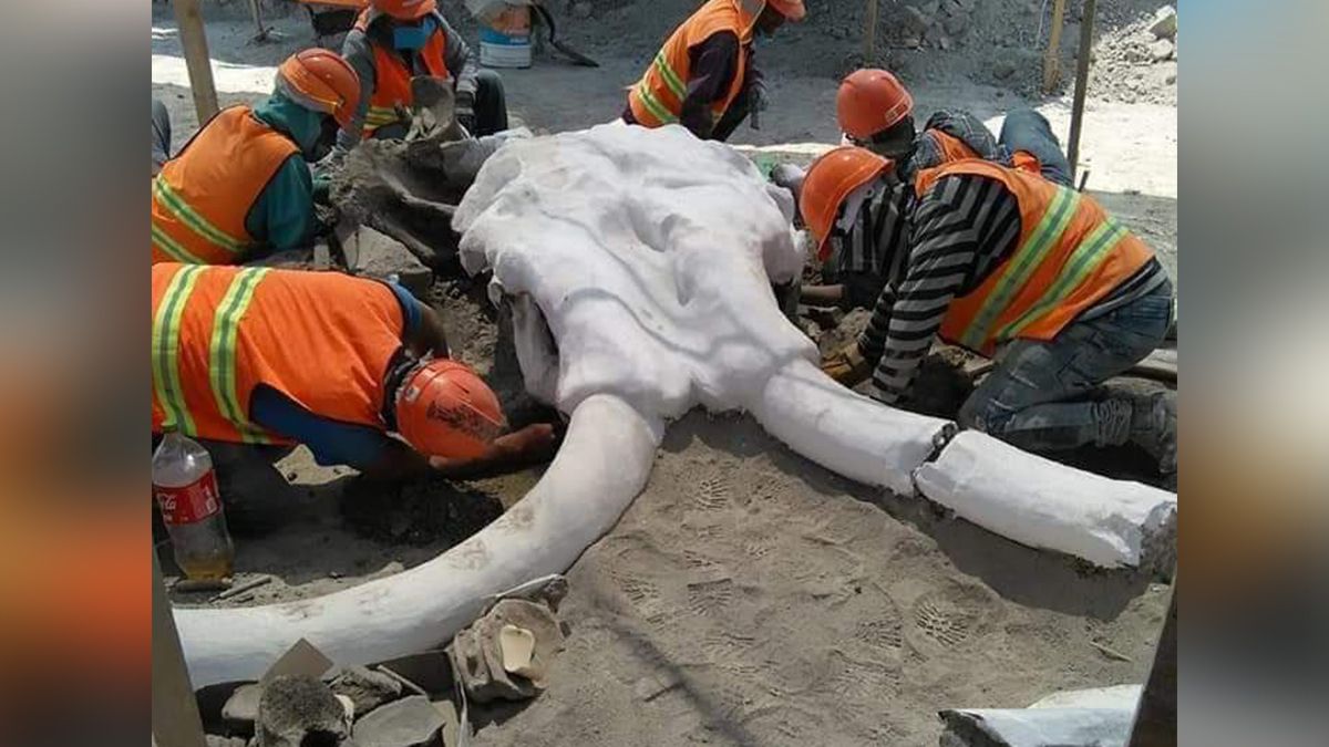 24 Morelos Mamuts Santa Lucía