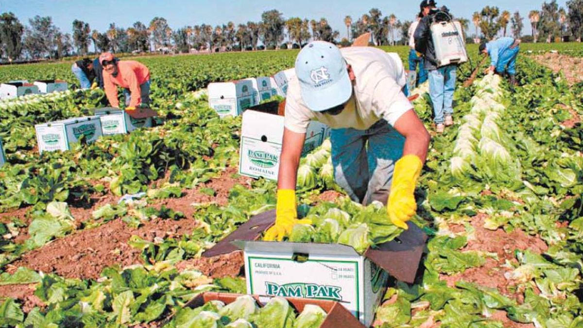 24 Morelos Migrantes