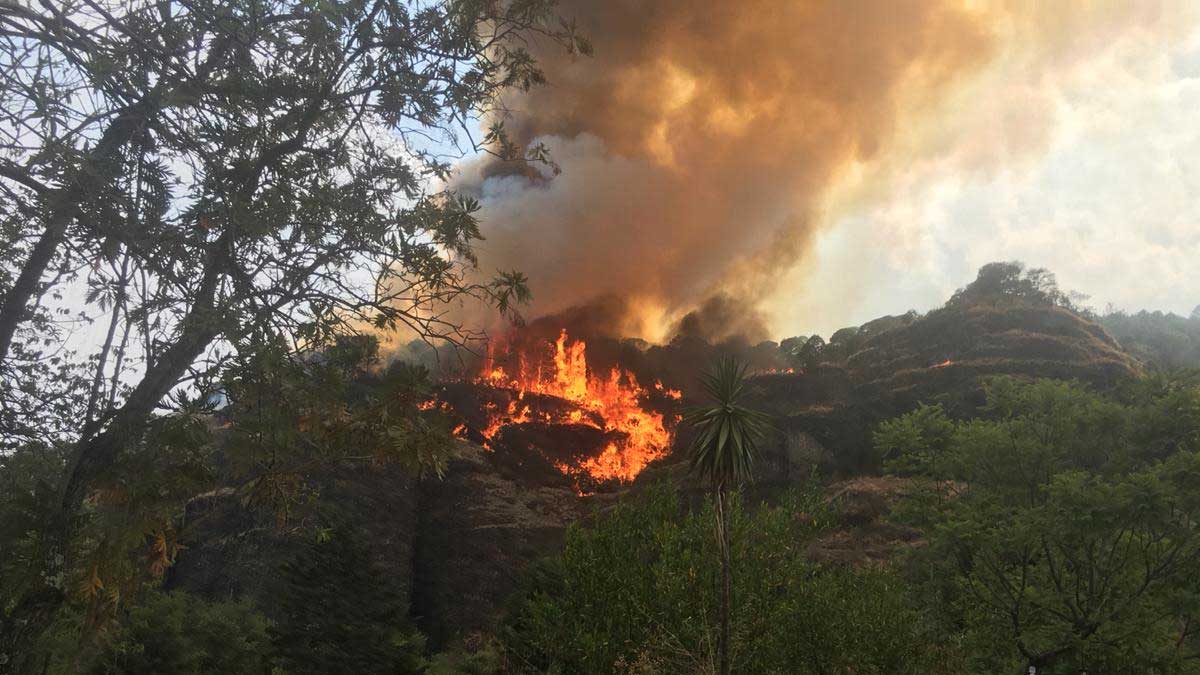 Presenta Profepa denuncia contra joven que provocó incendio en Tepoztlán