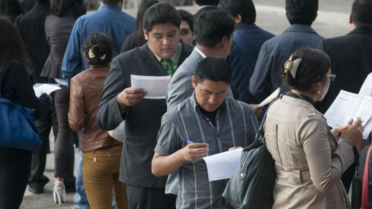 24 Morelos desempleo