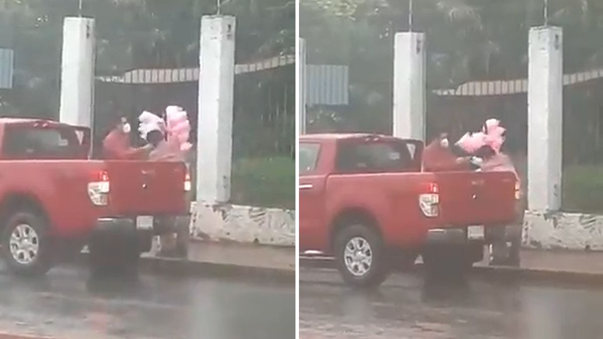 24 Morelos Hombre compra algodones de azúcar viral