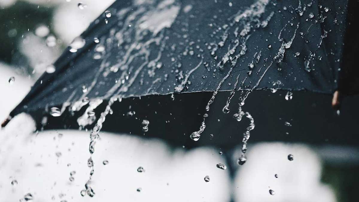 Marzo entre lluvias y calor