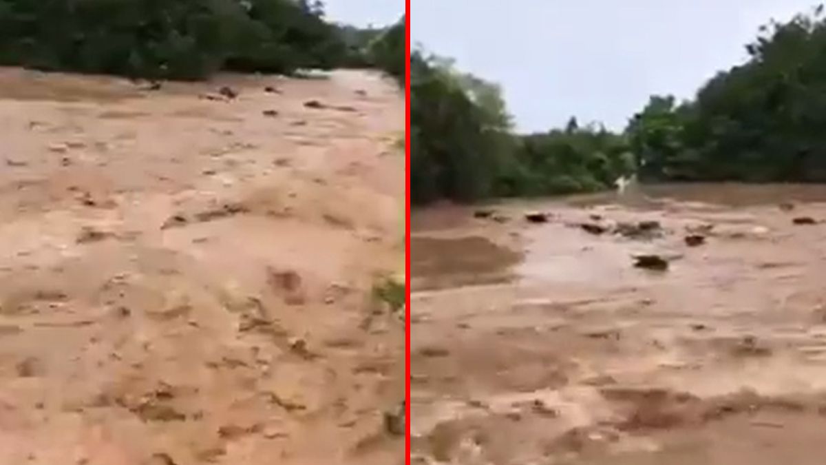 24 Morelos Ganado arrastrado por el río