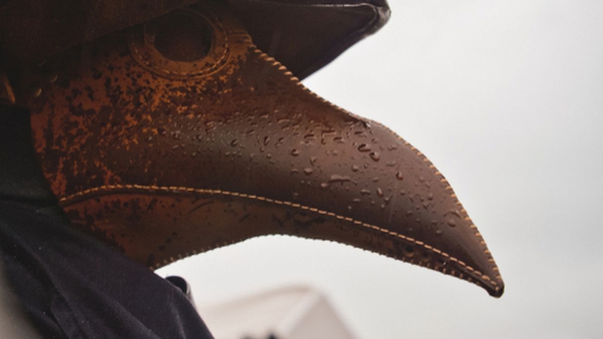 24 Morelos peste bubónica