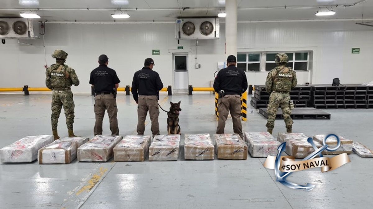 24 Morelos Decomiso de cocaína droga