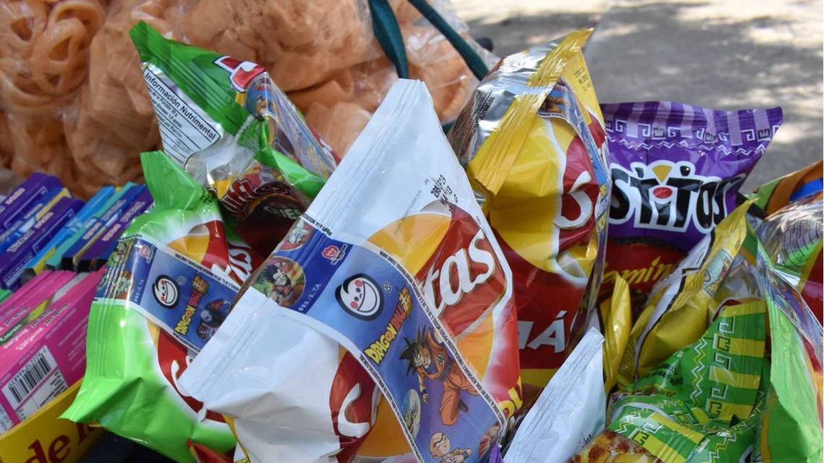 24 Morelos comida chatarra