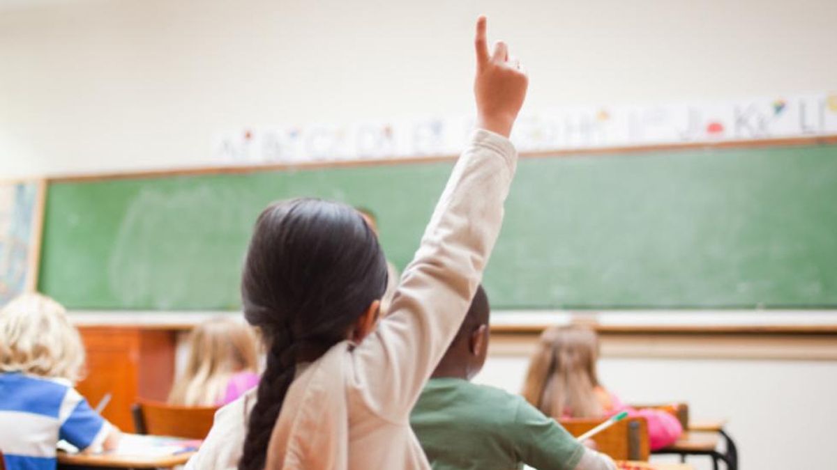 24 Morelos Pin Parental