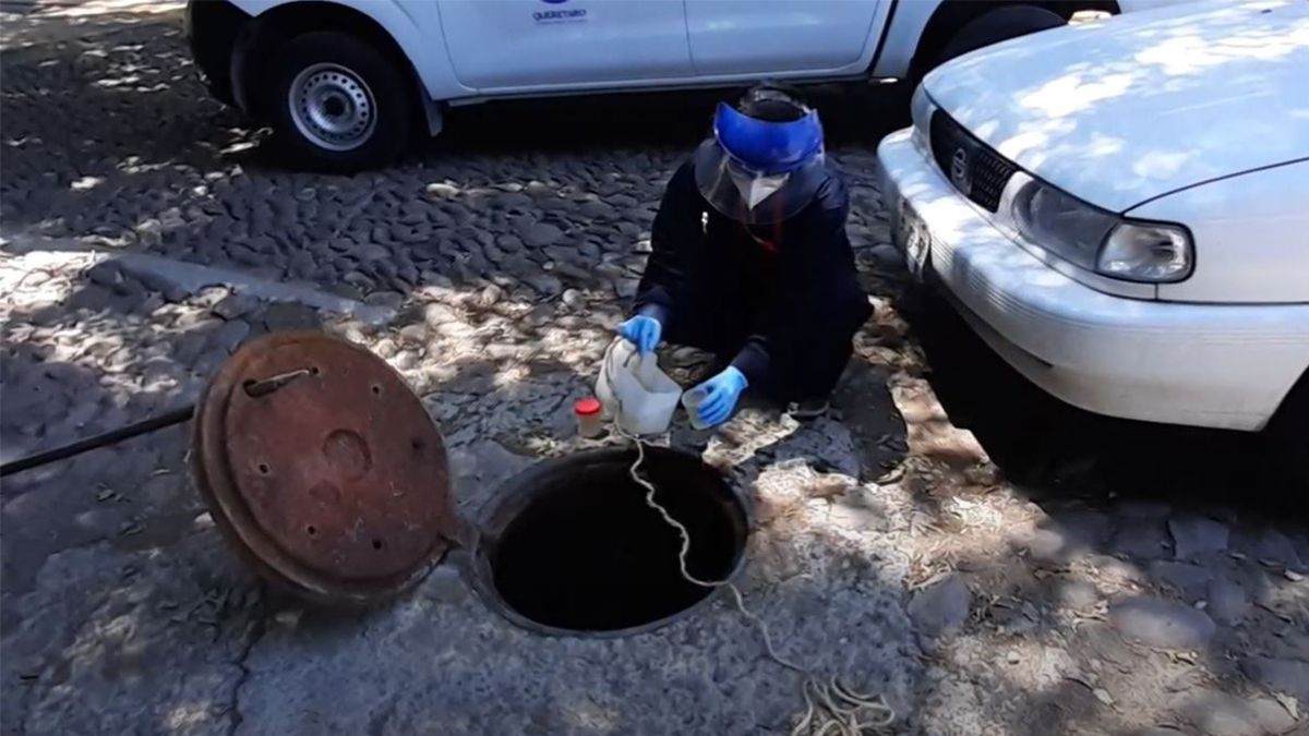 24 Morelos UNAM COVID