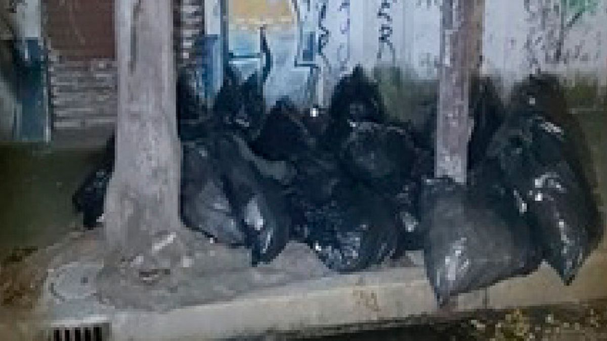 Localizan posibles medicamentos oncológicos robados en CDMX