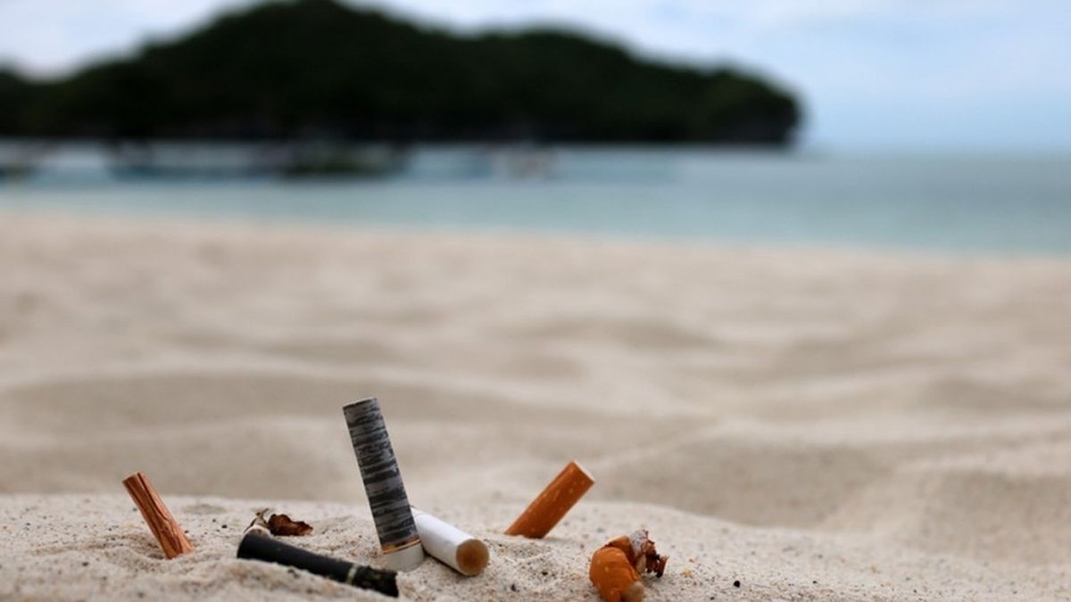 24 Morelos Playa colilla de cigarro