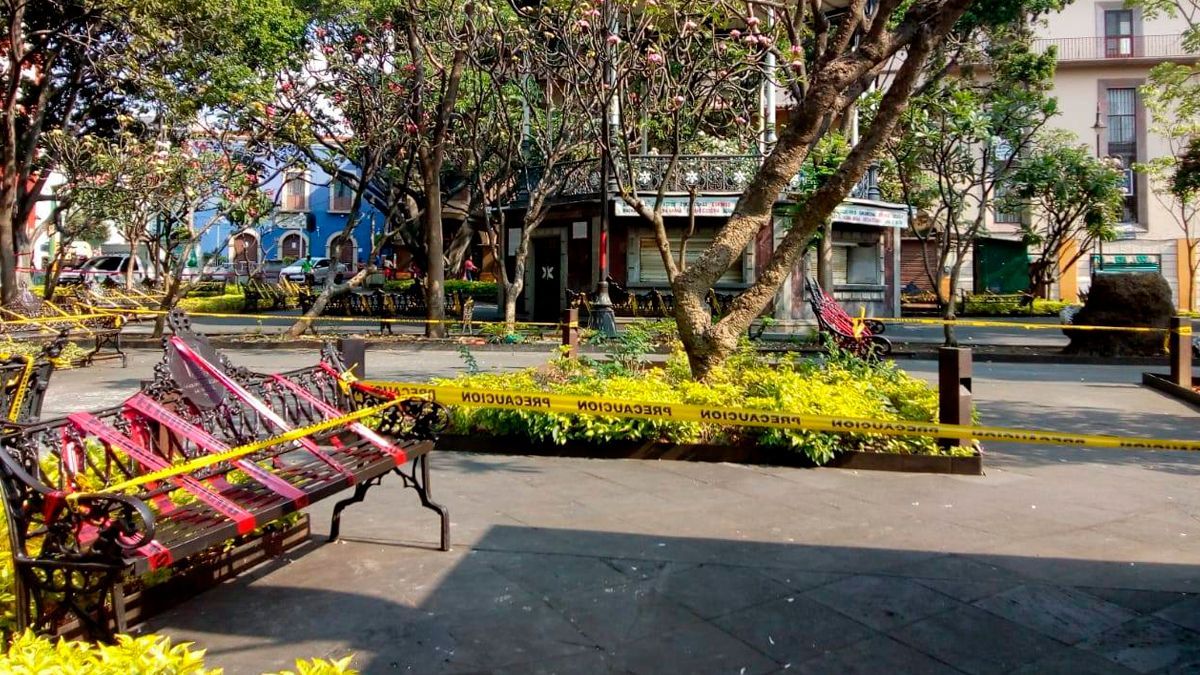 ¿Qué actividades se permiten en semáforo amarillo?