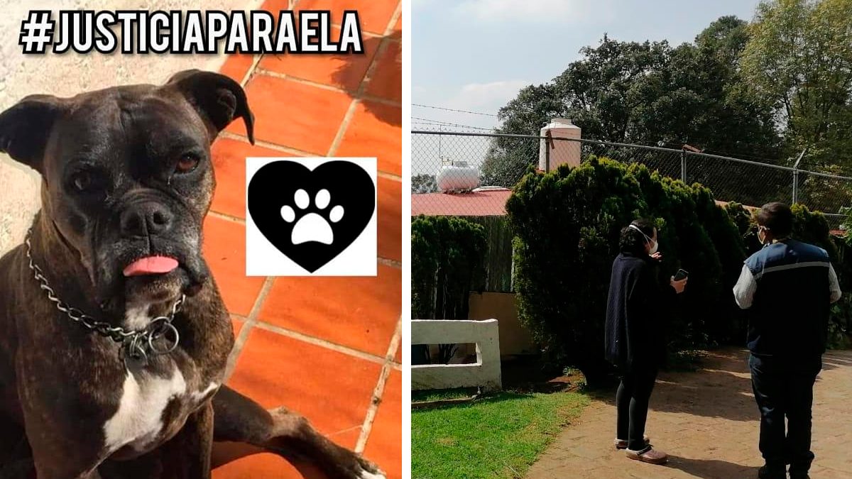 24 Morelos Justicia para Ela