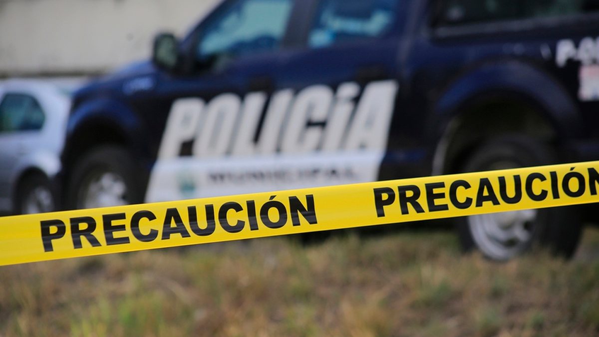 24 Morelos Seguridad