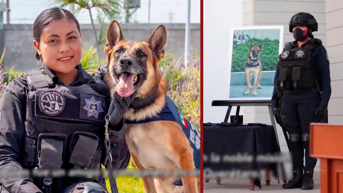 24 Morelos Despidieron a Toretto