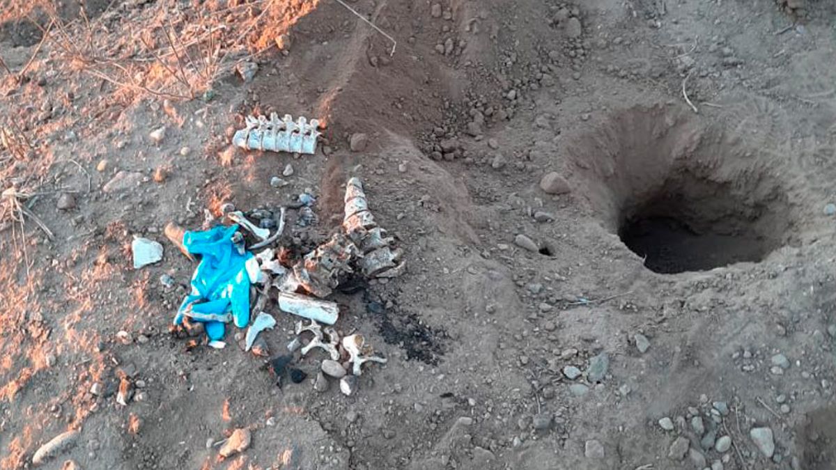 Localizan en Sonora 19 fosas clandestinas