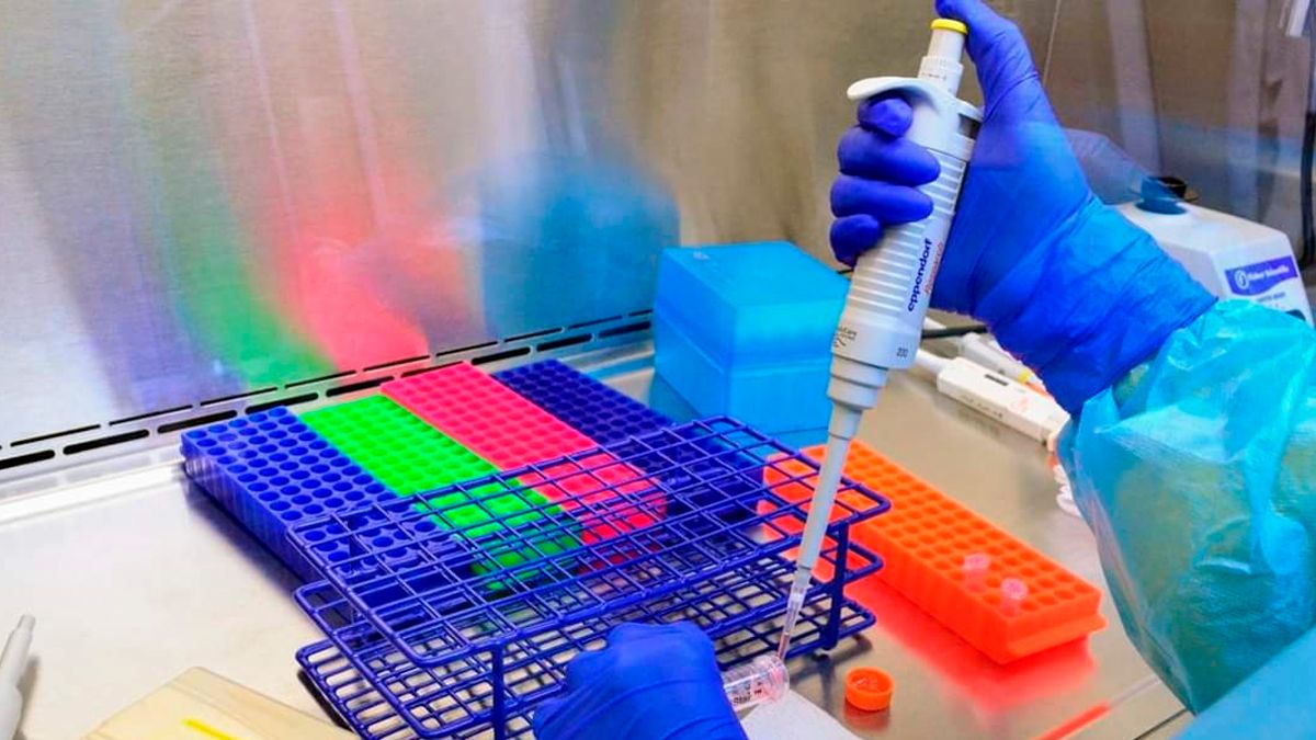 Confirman 6 casos de variantes de COVID-19 en Morelos