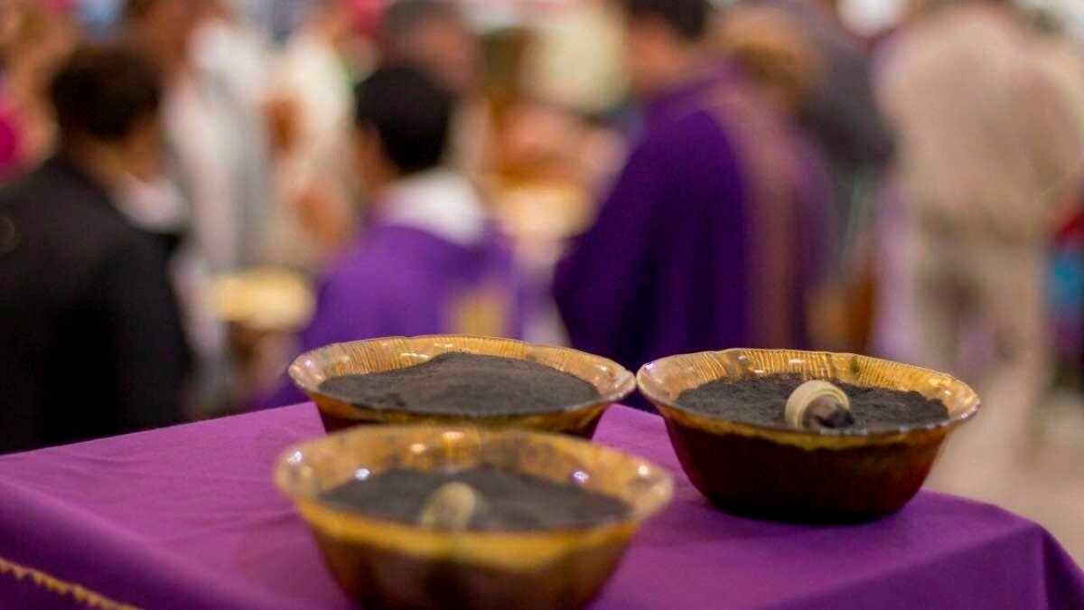 24 Morelos Miércoles de Ceniza