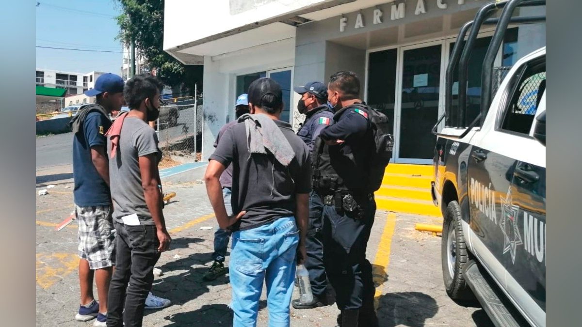 24 Morelos Limpiaparabrisas