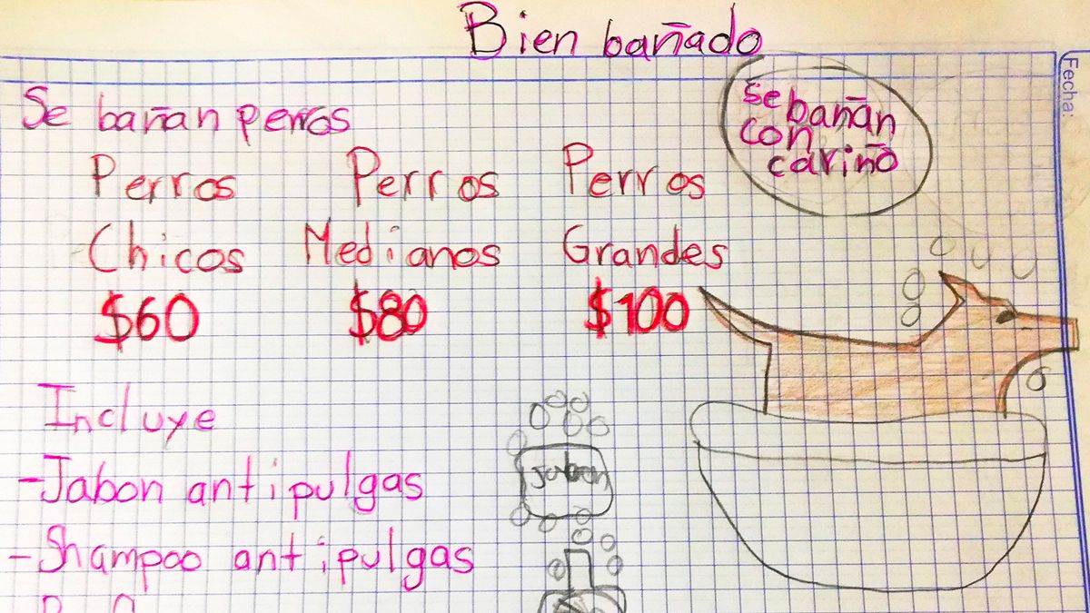 Tiene 7 años y baña perritos para pagar sus estudios de veterinario