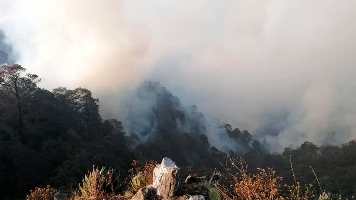 Retan a candidatos para apoyar combate en incendio de Huitzilac