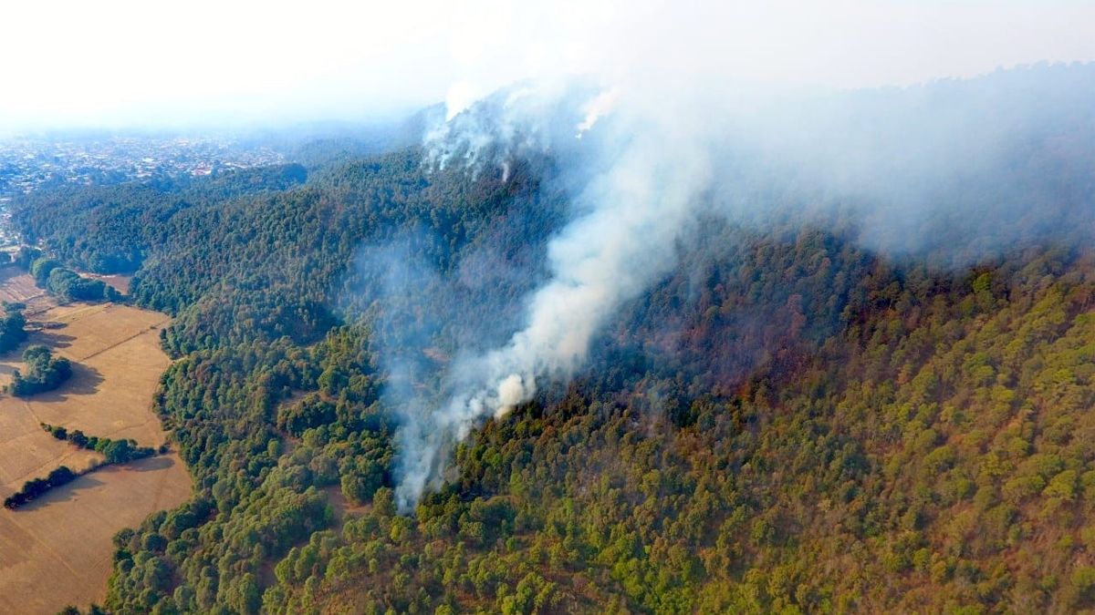 Corte informativo sobre incendios en Morelos (12:00 pm)