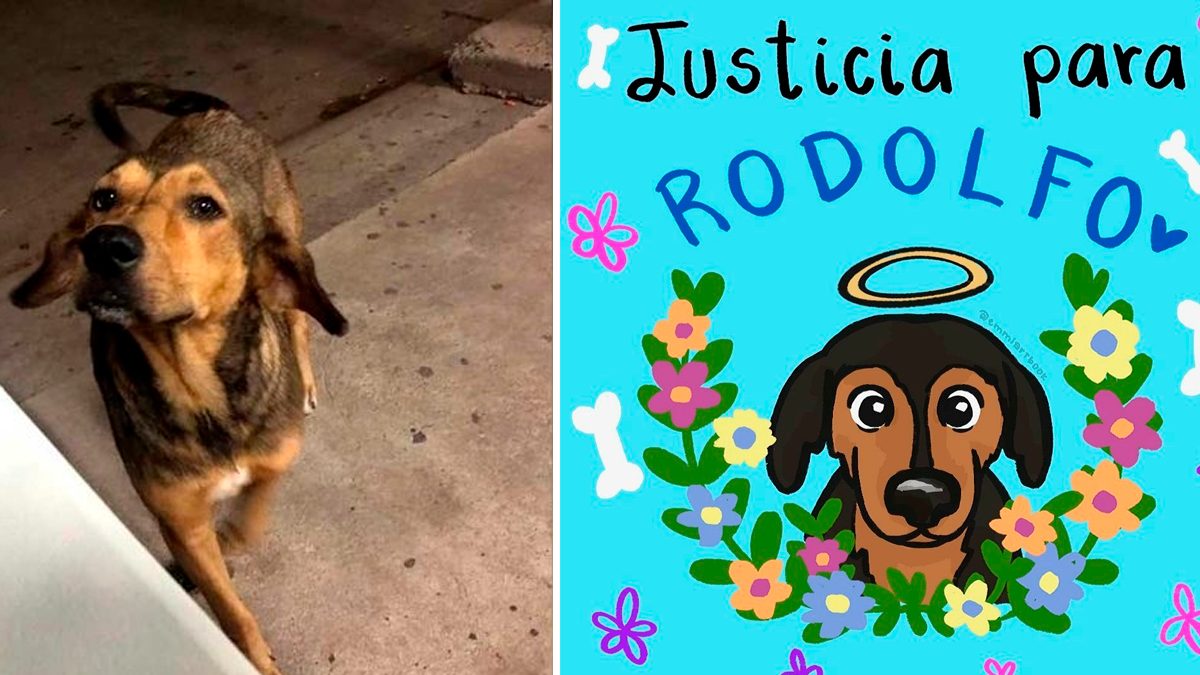 24 Morelos Justicia Para Rodolfo