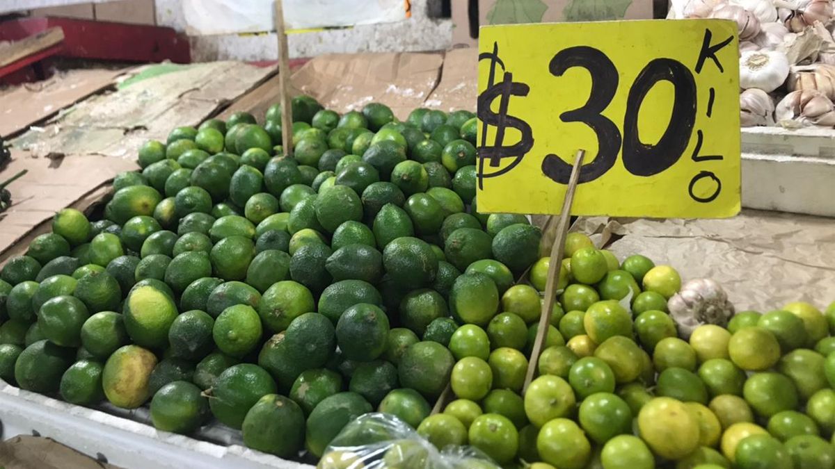 Reportan incremento en precio del limón