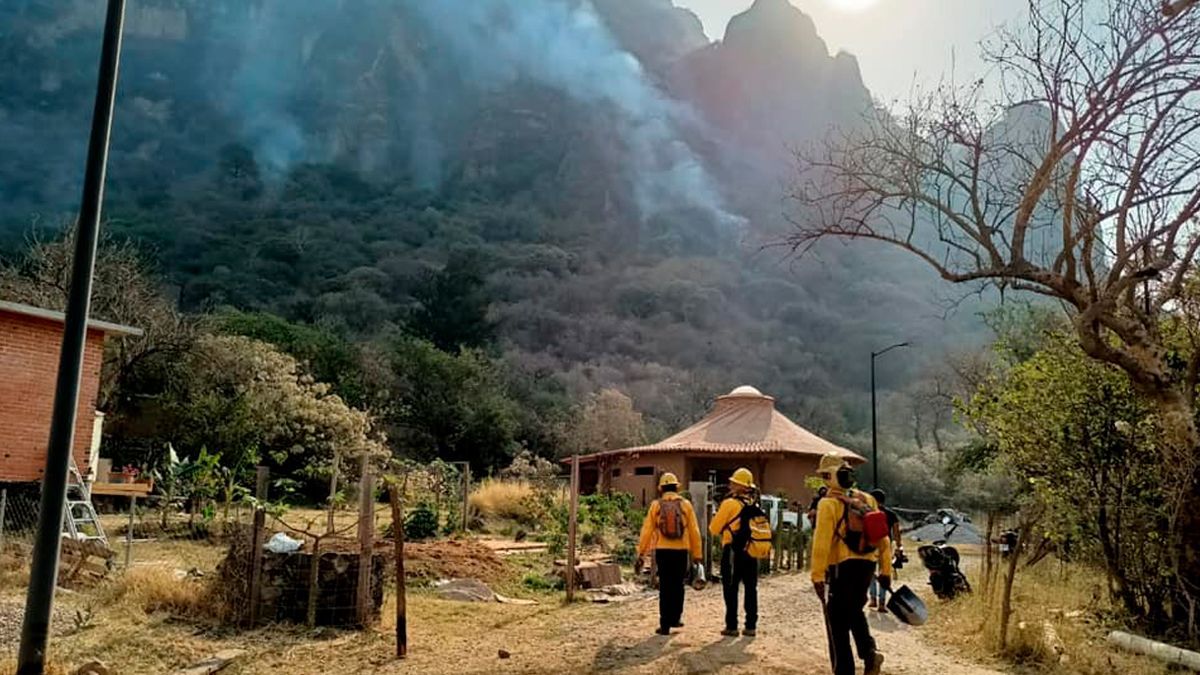 Hasta tres días más podrían durar labores por icendio en Tepoztlán