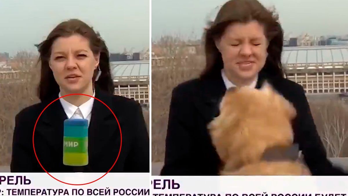 24 Morelos Perro roba micro a reportera