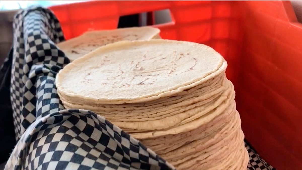 24 Morelos Tortilla