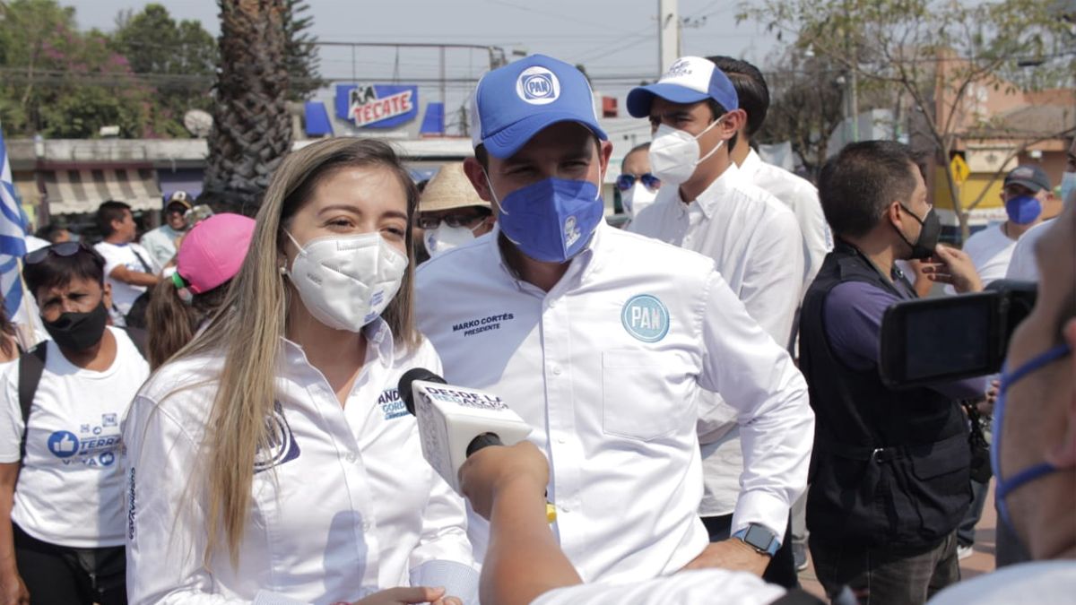 Dirigencia nacional del PAN respalda a Andy Gordillo