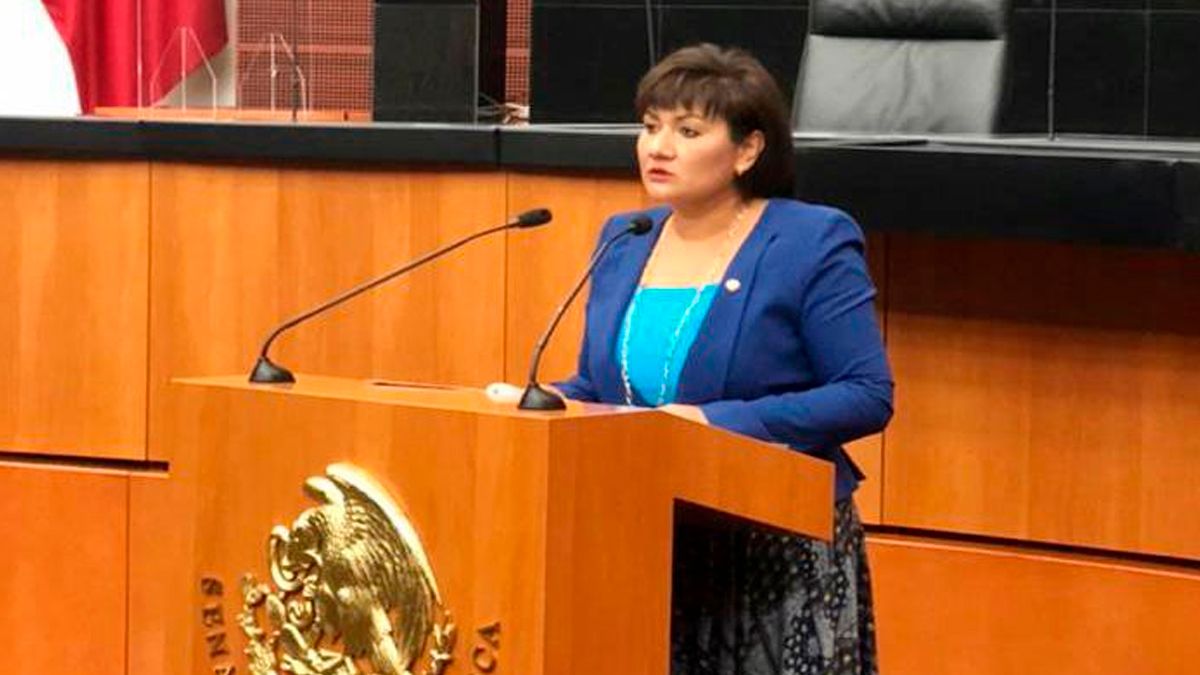Propone Senadora digitalizar educación en México ante pandemia