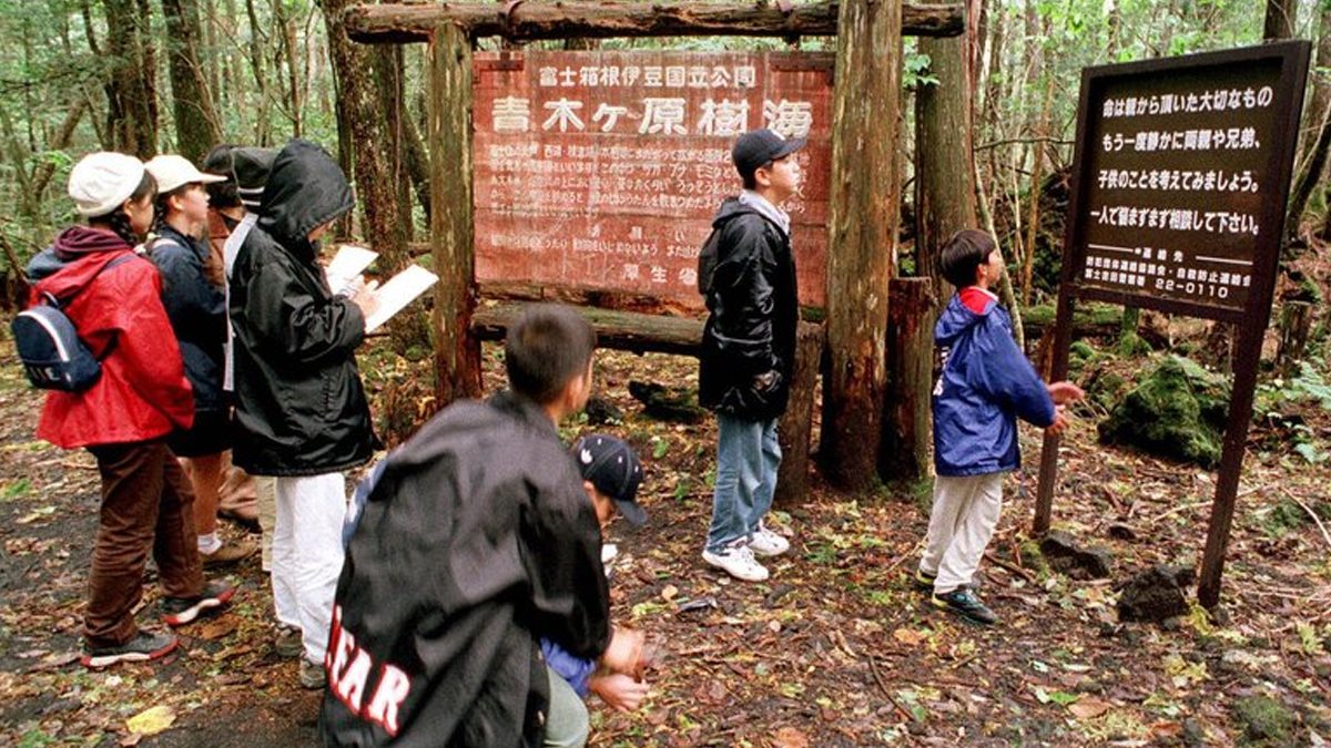24 Morelos Bosque Aokigahara