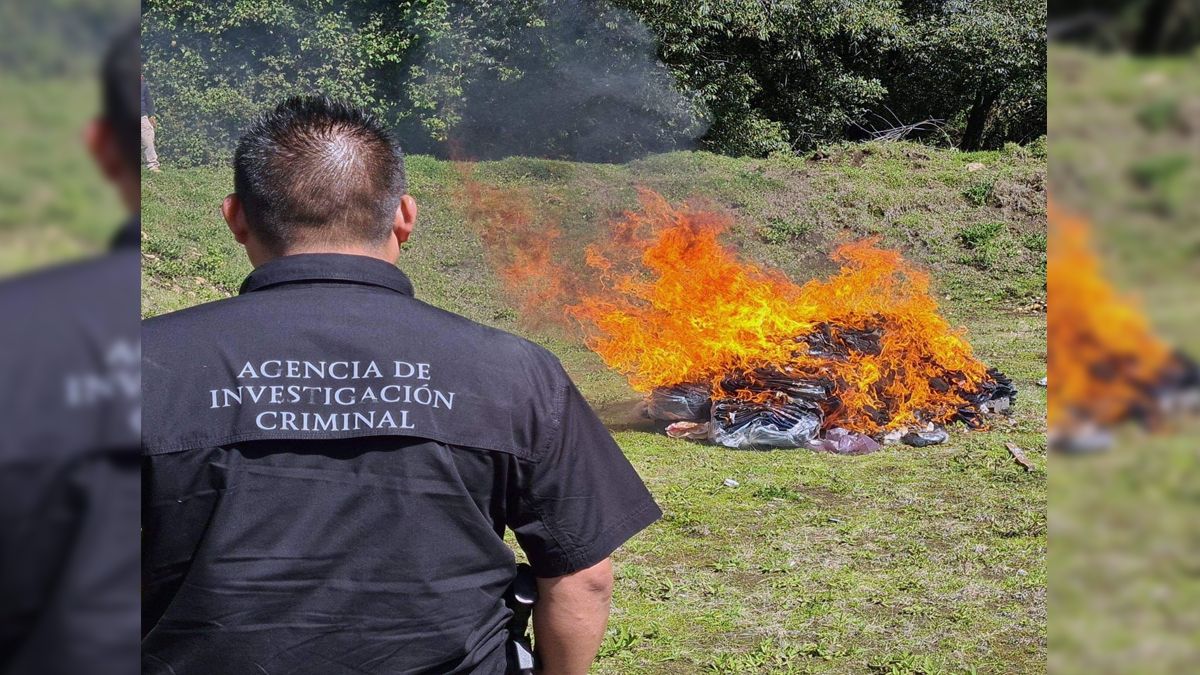 Incineran drogas confiscadas de diversos operativos en Morelos