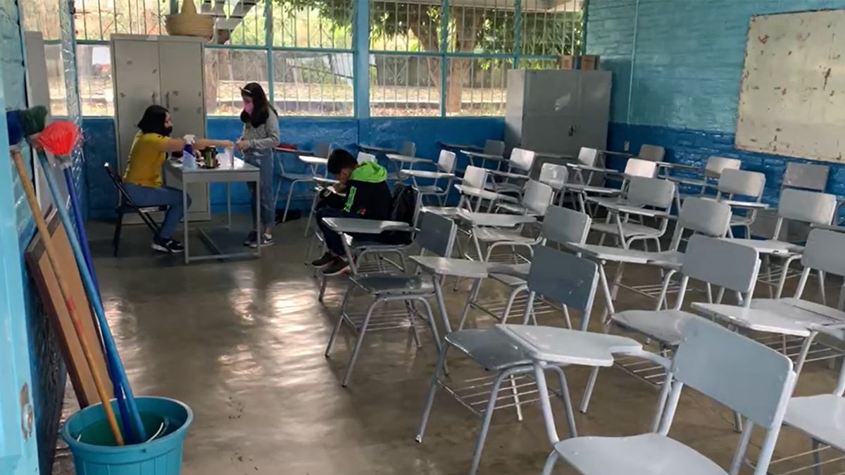 “No es un regreso a clases como tal”: docentes